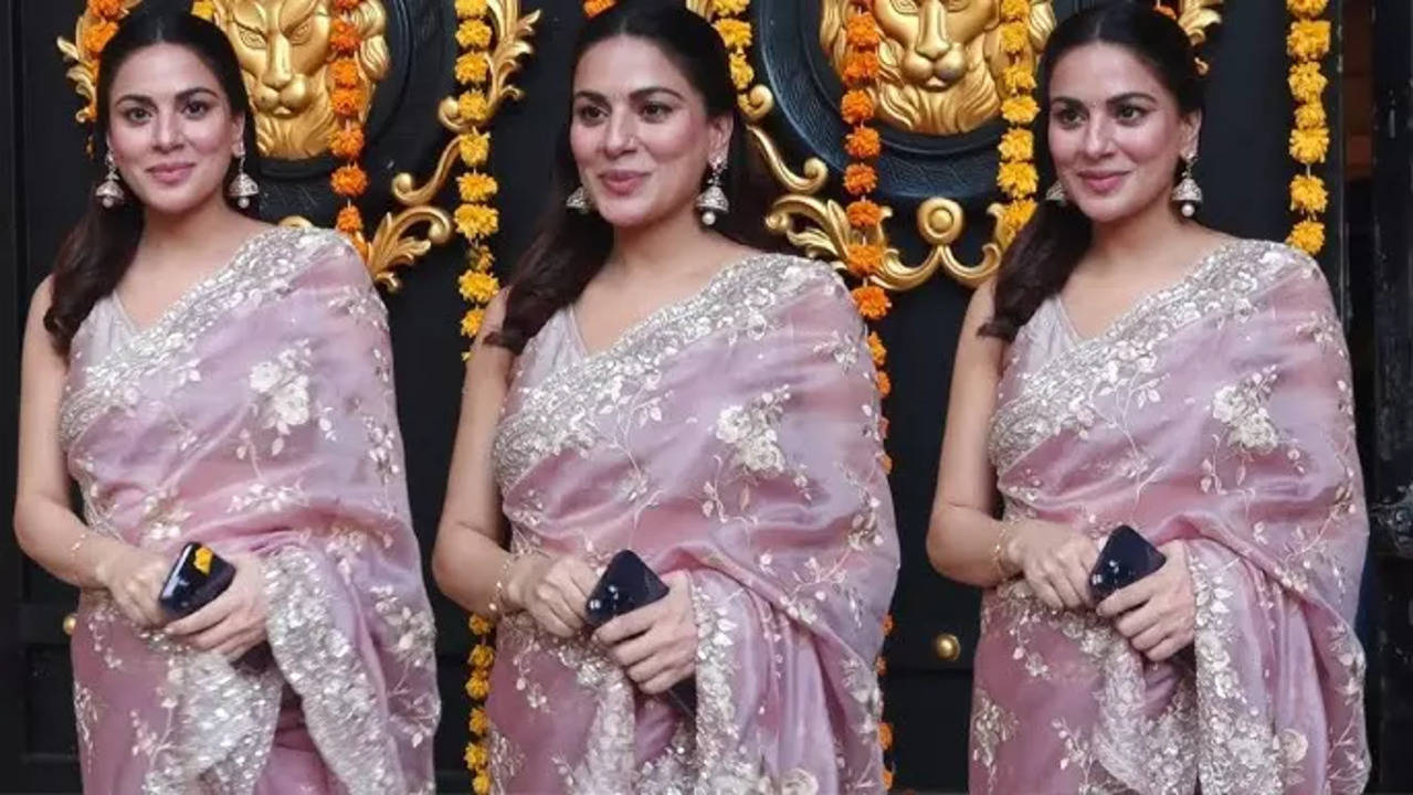 Shraddha Arya Looks Stunning In Pink Saree At Ganpati Darshan, Is She Hiding Her Baby Bump?