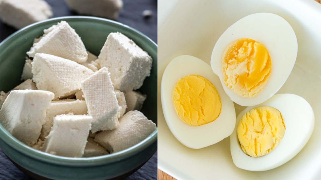 paneer or egg which has the most protein know in details