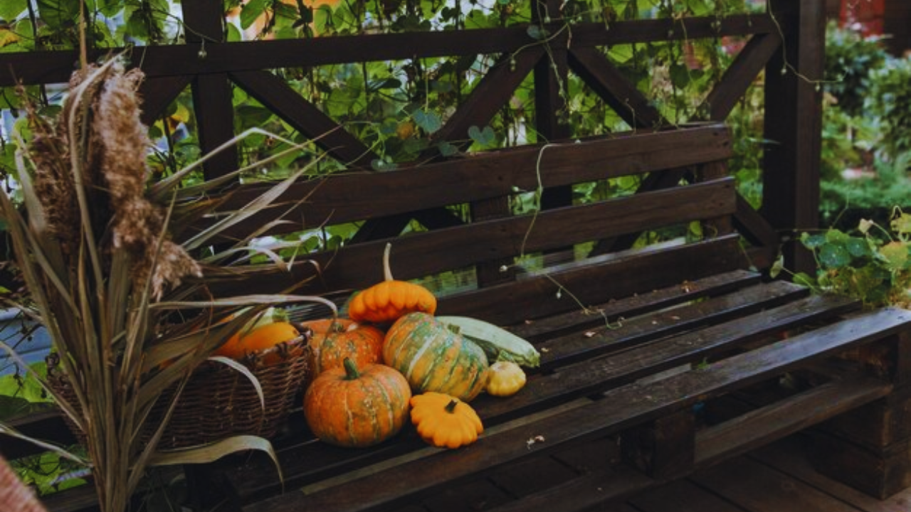 Porch Decor Ideas To Try This Fall