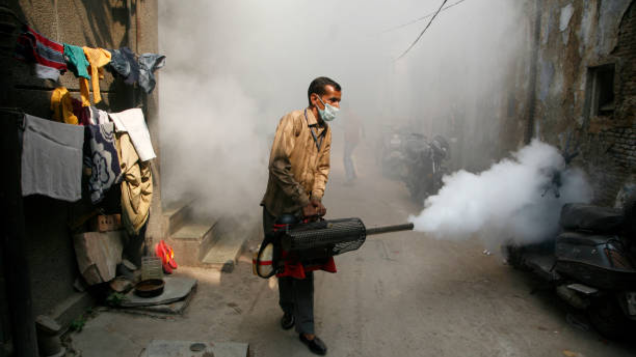 Delhi reports first dengue death this year