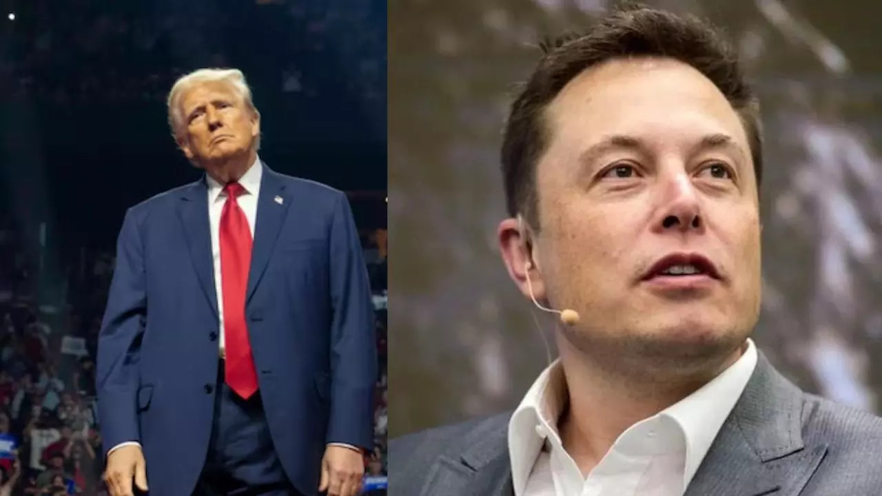 Former US President Donald Trump and Tesla CEO Elon Musk