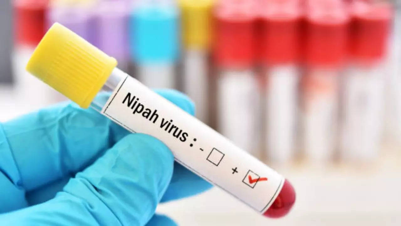 2nd nipah virus death in malappuram: restrictions imposed, theatres shut and masks made mandatory, businesses, schools, colleges, anganwadis shut