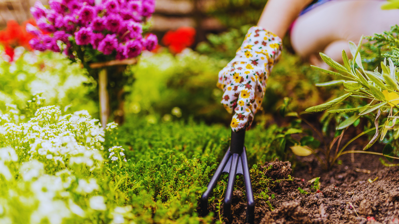 Simple Gardening Hacks For Beginners