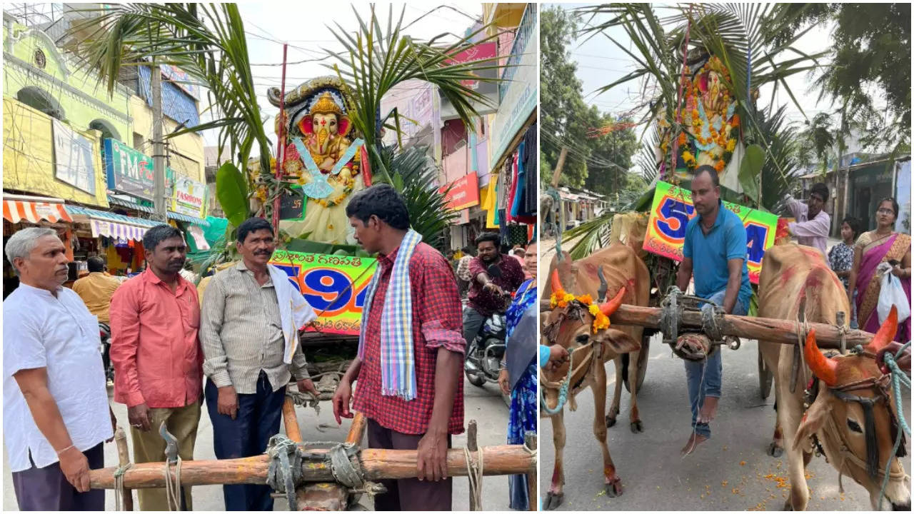 ganesh idol immersion procession on bullock cart in godavarikhani