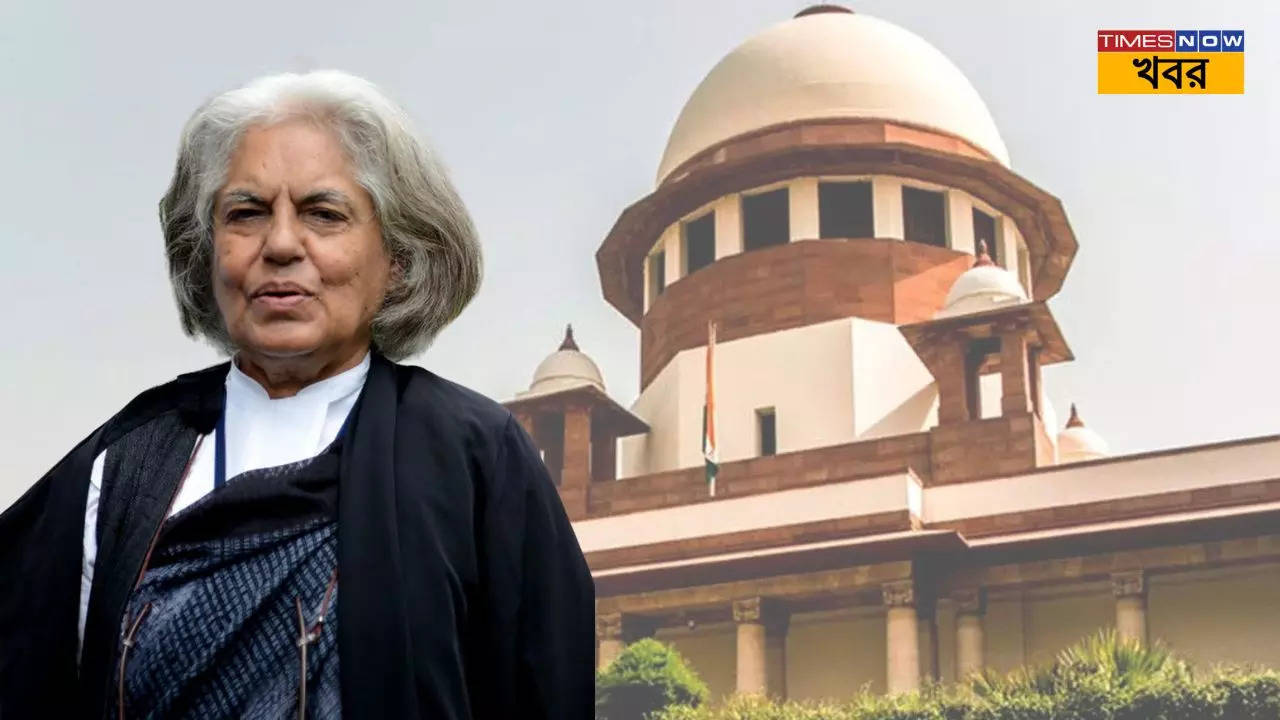 will the protesters return to work what did indira jaising tell the supreme court