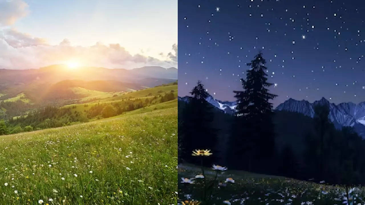 Day and Night (Photo: Freepik)