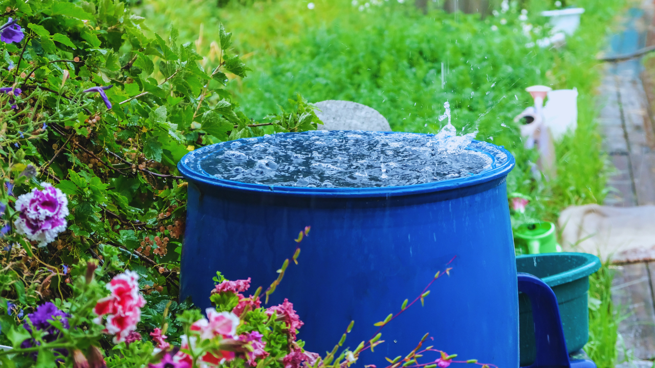 Smart Ways to Use Harvested Rainwater at Home