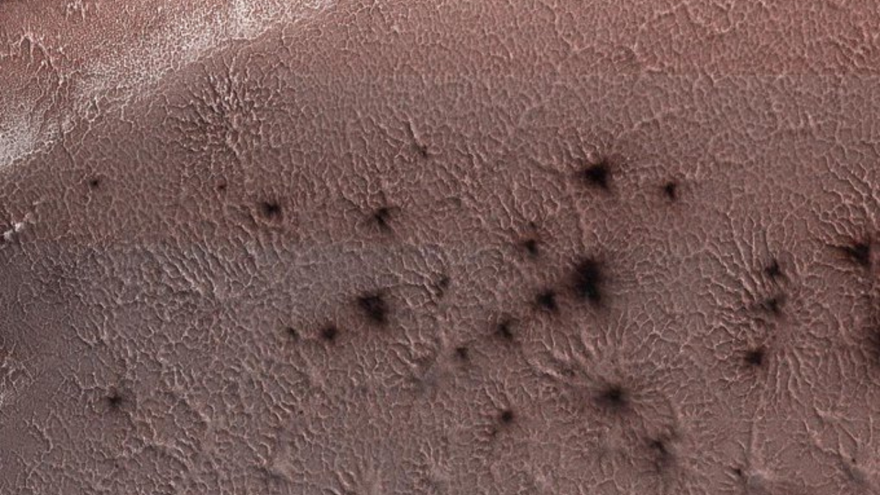 Spider-like structures on Mars