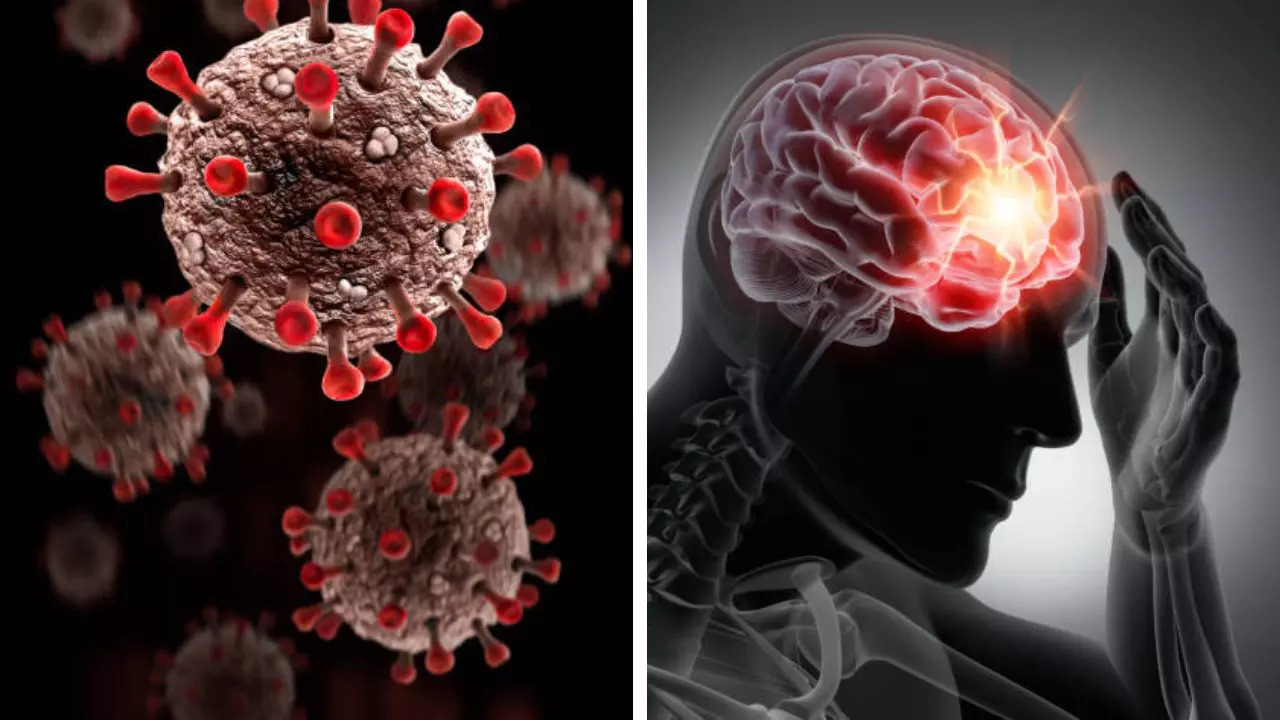 Top 5 Most Dangerous Viruses In The World That Can Impact Your Brain 