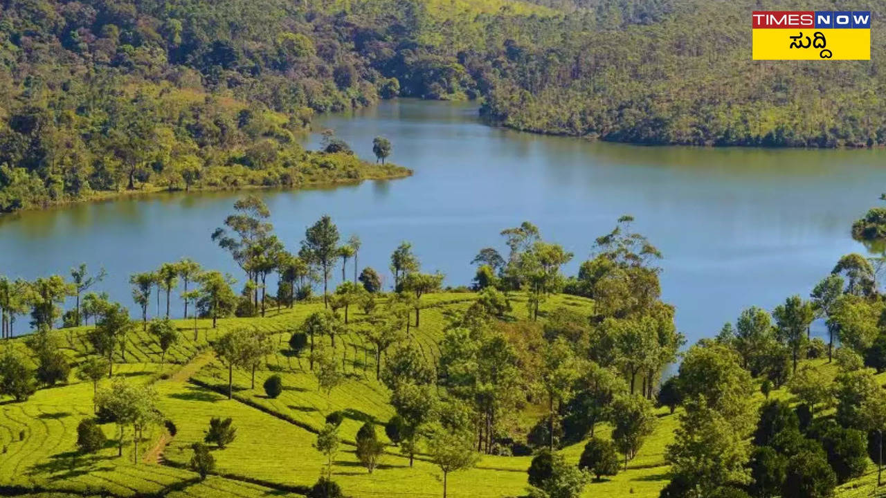 ಭೂಲೋಕದ ಸ್ವರ್ಗ ತೇಕ್ಕಡಿ