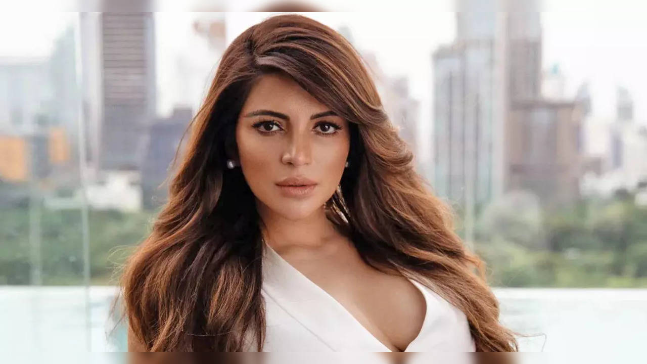 Shama Sikander Reveals 'A Superstar' Once Hugged Her Inappropriately: 'I Was Uncomfortable'