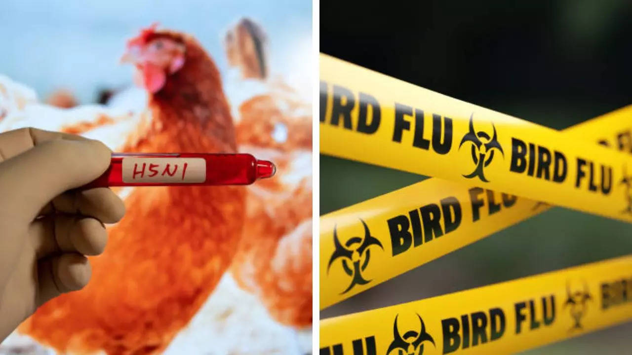 US Wastewater Tests Show Bird Flu Virus Limited to Areas With Farm Animals 