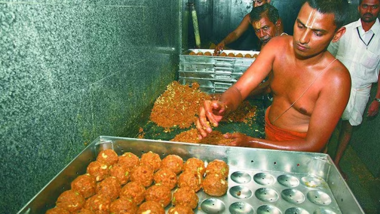 Lab report confirmed animal fats, fish oil in ghee for making laddus