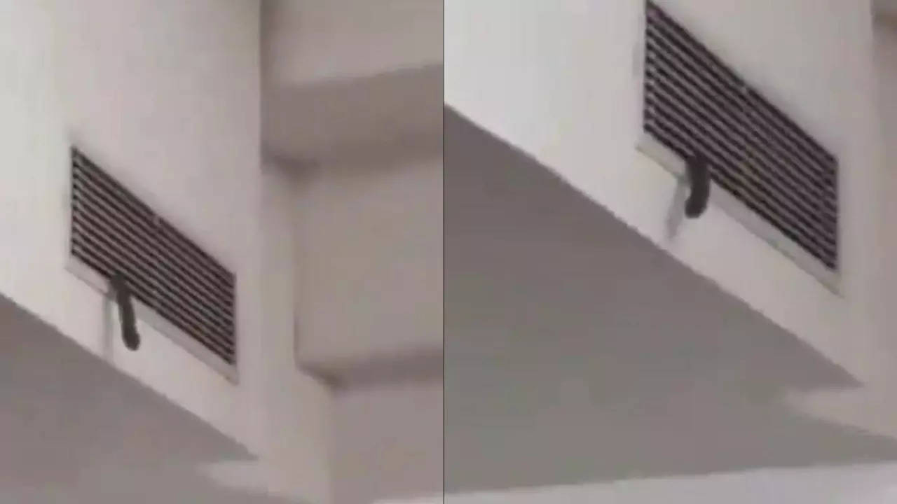 Viral Video Snake spotted at a private university in noida