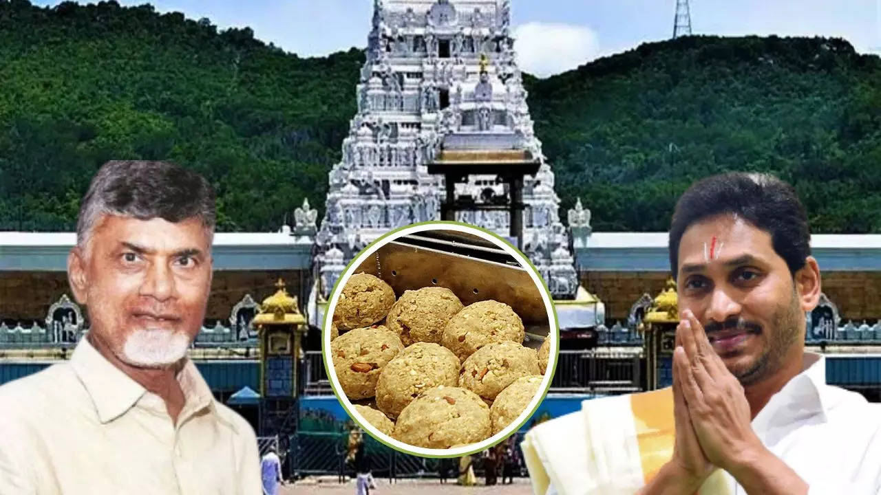 Tirupati Laddu Animal Fat Controversy