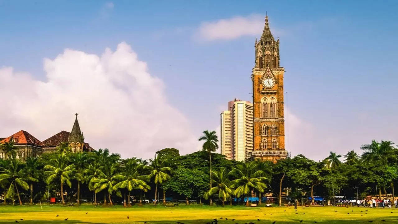 university of mumbai senate election postponed 1