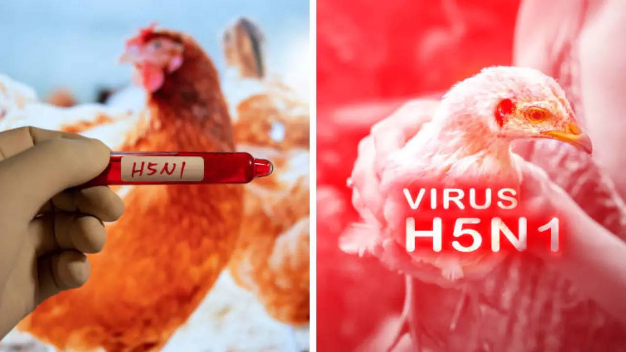 CDC Says A Second Health Care Worker Tied To Missouri Bird Flu Case Had Symptoms 