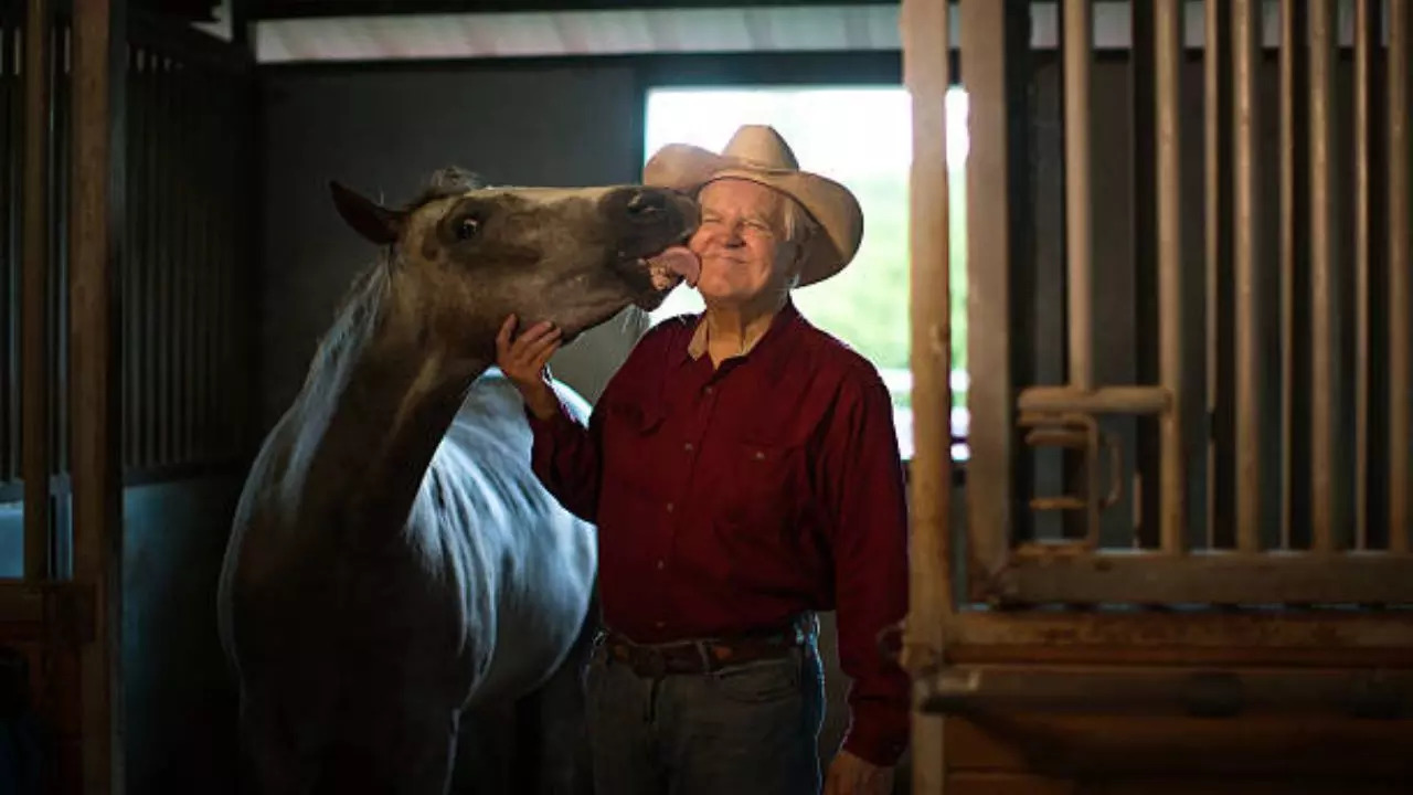 Caring For Horses Can Help Veterans Battling PTSD, Says Study