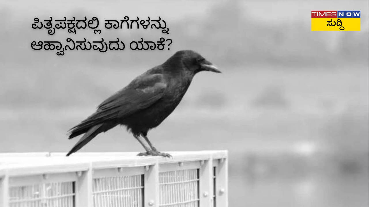 ಪಿತೃಪಕ್ಷದಲ್ಲಿ ಕಾಗೆಗಳನ್ನು ಆಹ್ವಾನಿಸುವುದು ಯಾಕೆ?