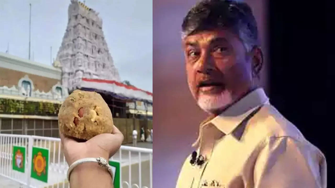 cm chandrababu naidu decision says sit will investigate laddu controversy