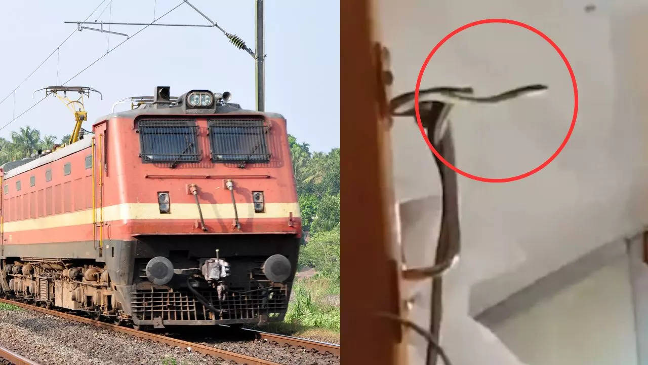 Snake In Train viral video shows huge snake spotted at Mumbai Garib Rath express