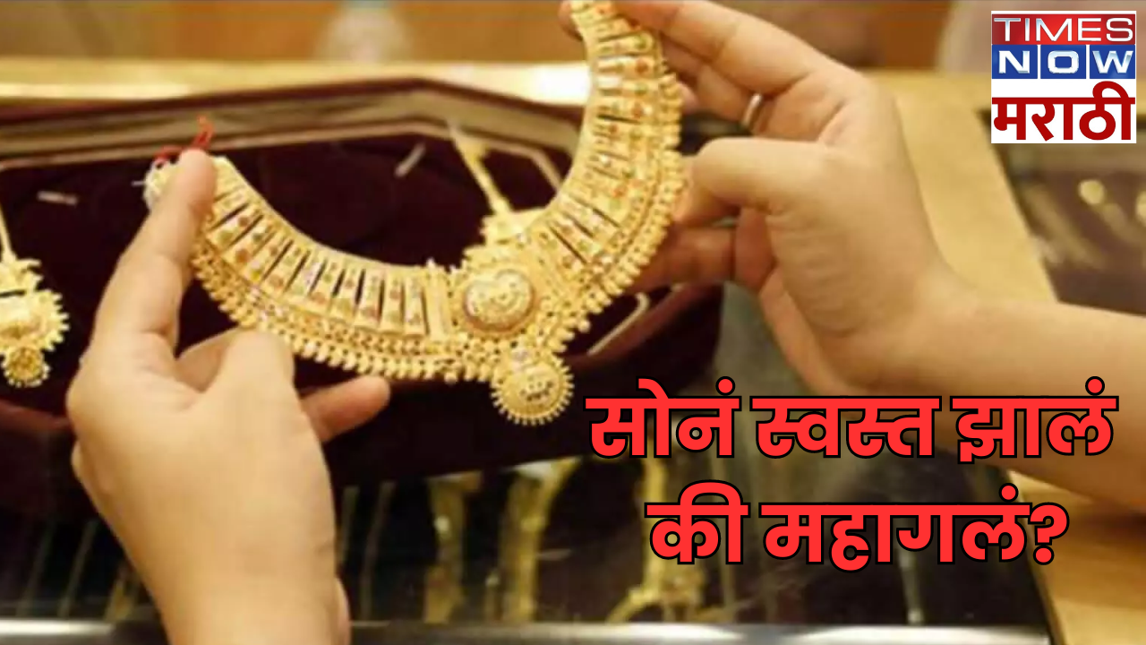 check 10 gram 24 karat gold latest price