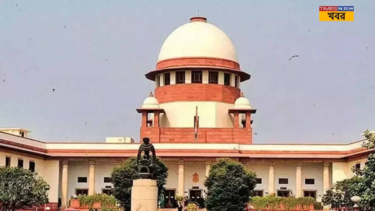 SC on Child Pornography