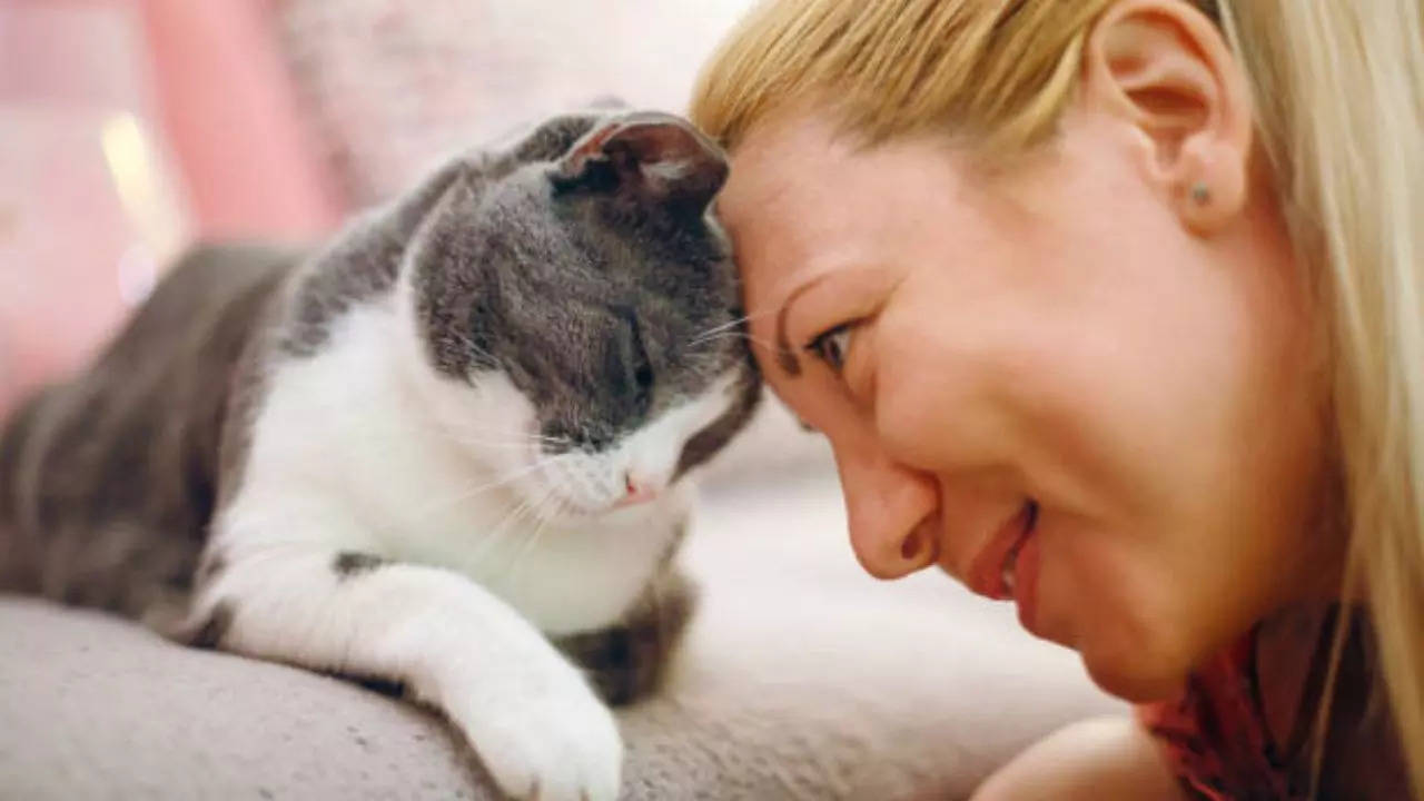 Owning a Cat Could Double Your Schizophrenia Risk, Research Says