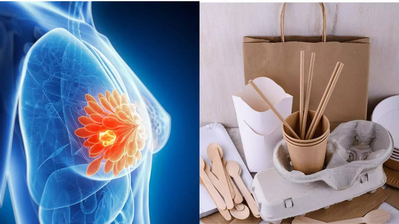 ​200 Chemicals Linked To Breast Cancer Found In Food Packaging Materials​