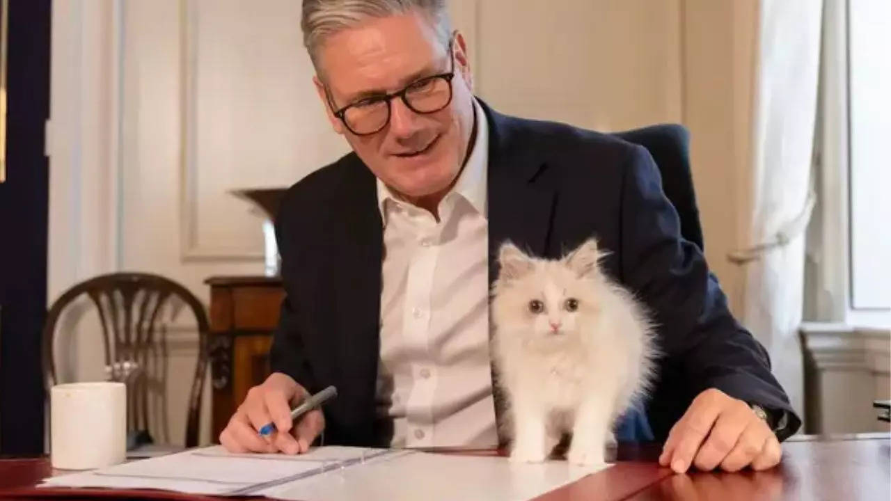 First photo of British Prime Minister Keir Starmer's new cat