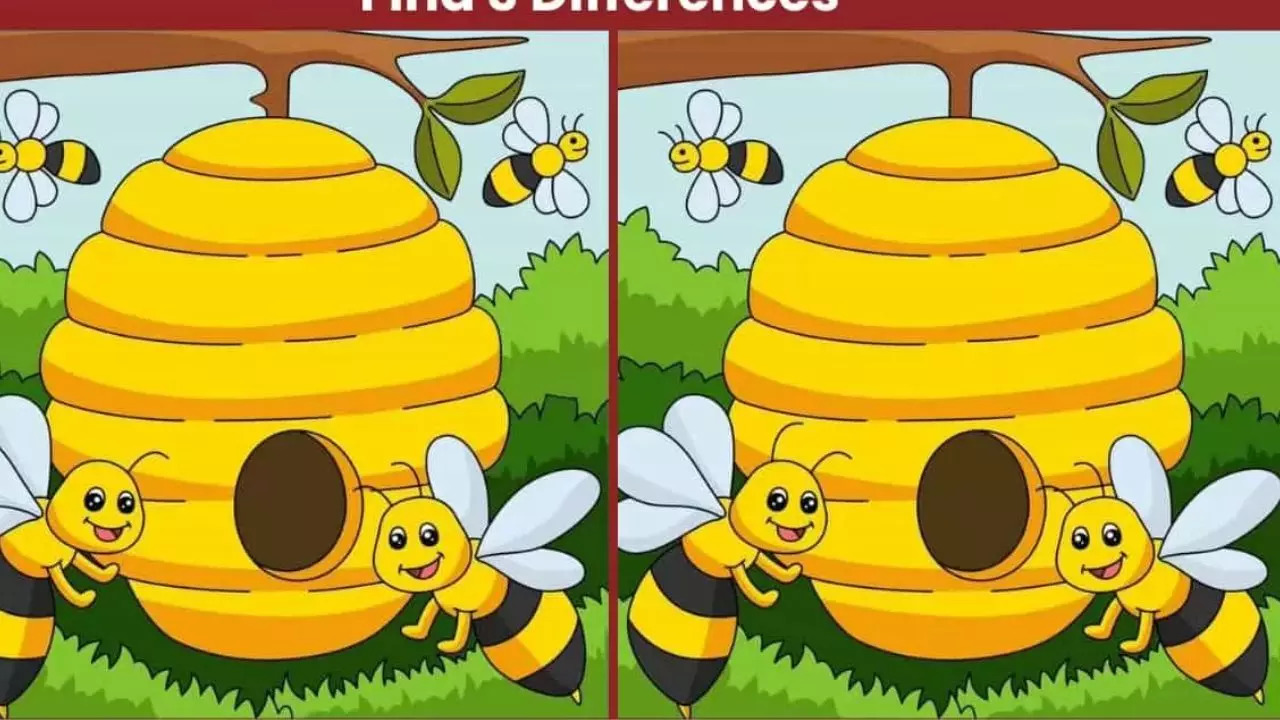 Spot 3 Differences in 19 Seconds