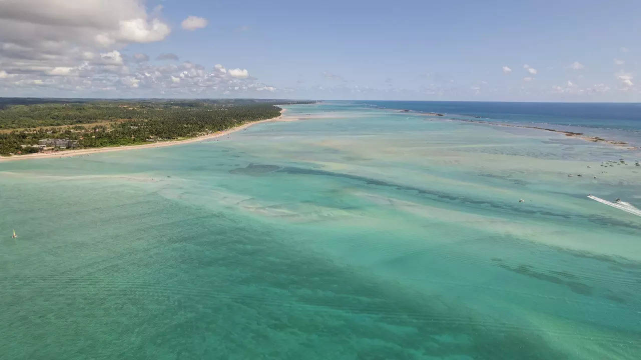 Ocean acidification is the seventh of nine boundaries may have already breached. | Courtesy: Getty