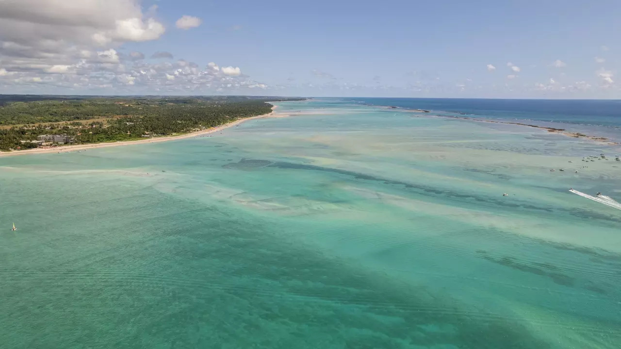 Ocean acidification is the seventh of nine boundaries may have already breached. | Courtesy: Getty