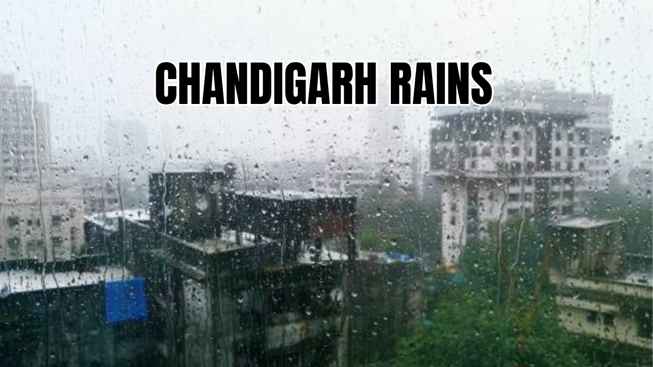 Chandigarh weather update (Representational Image)