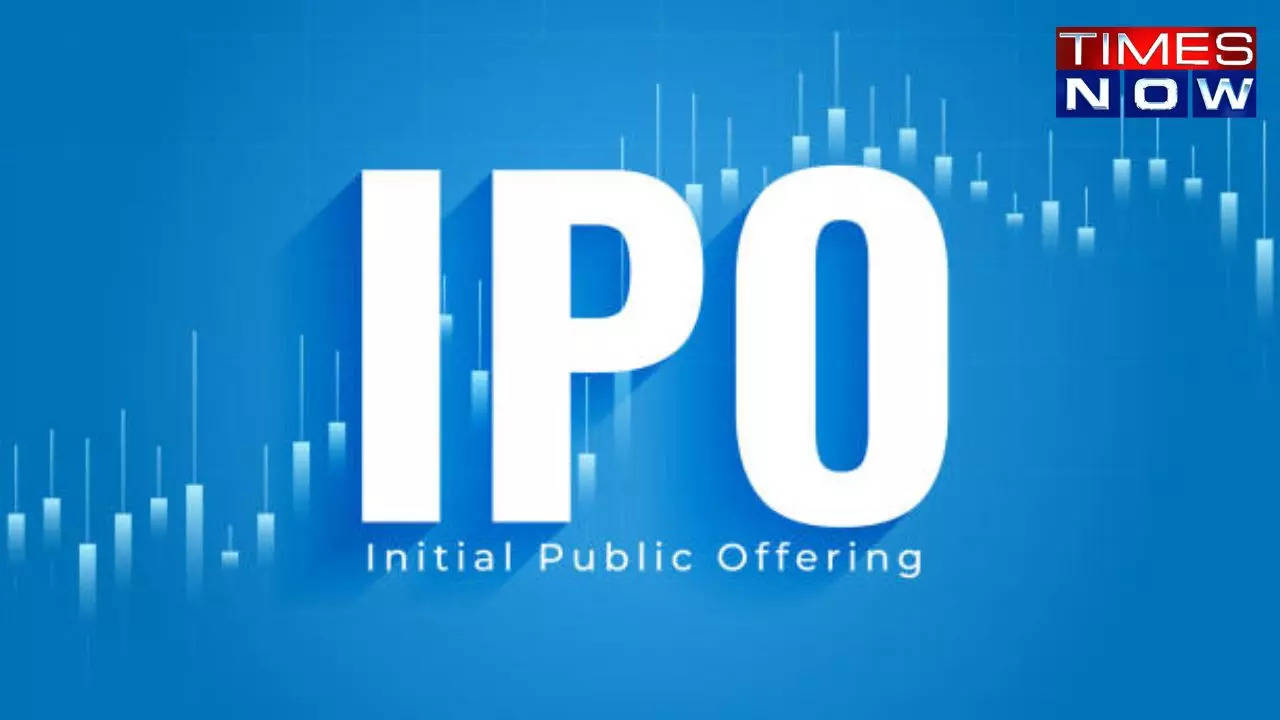 Big IPOs in 2024, ipos, public offerings, ipos in 2024, expected ipos in 2024, swiggy ipo, hyundai ipo