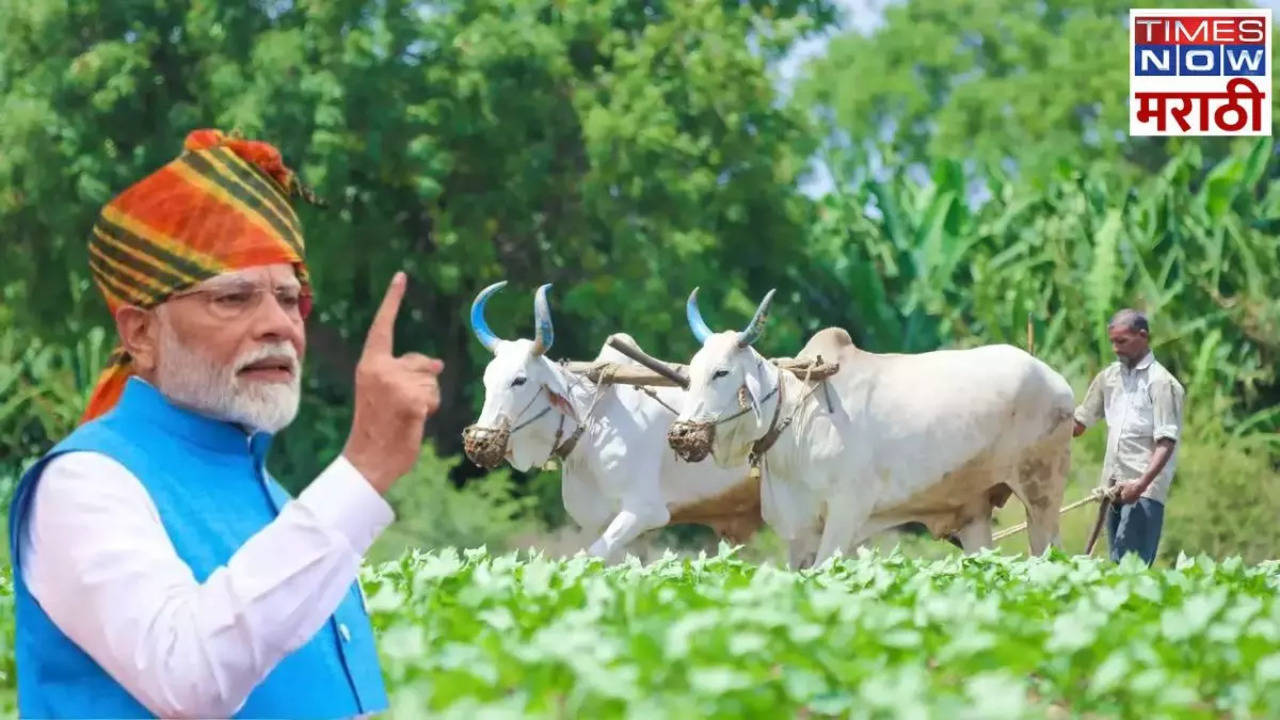 PM Kisan 18th Installment Date