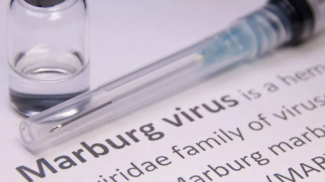 ​Rwanda Reports Six Deaths Due To Marburg Virus Outbreak​