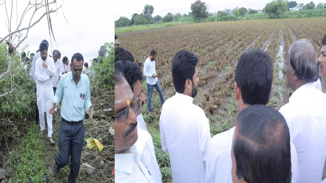 mla dheeraj deshmukh at farmers field