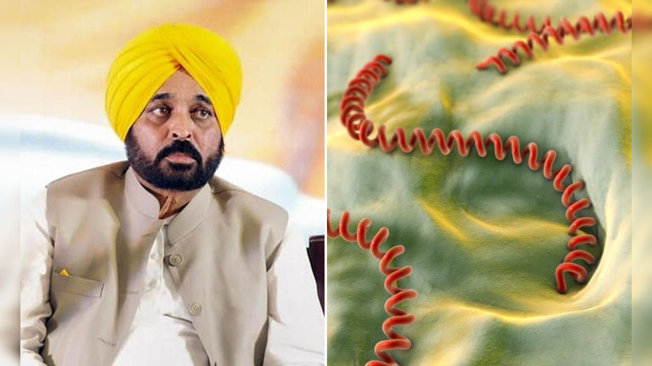 punjab chief minister bhagwant mann diagnosed with leptospirosis know the symptoms and treatment