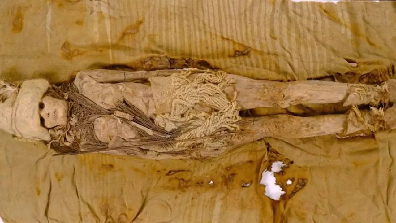 world’s oldest cheese found preserved for over 3,500 years, on mummies