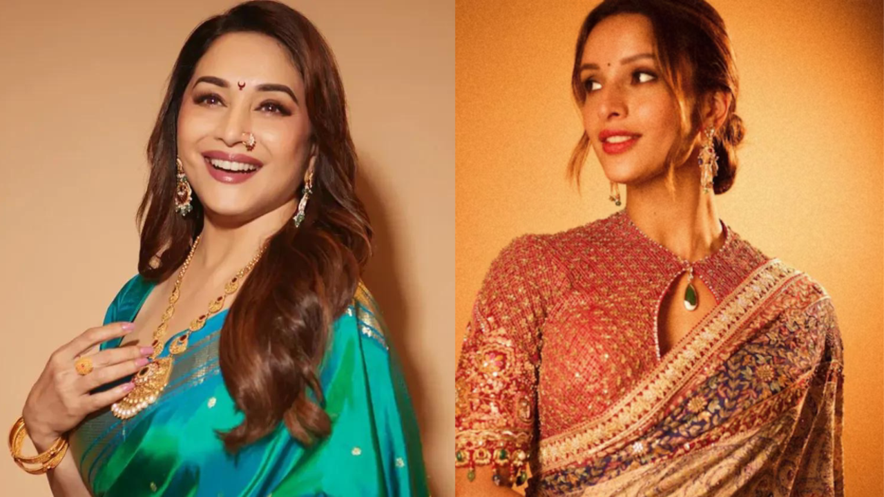 Madhuri Dixit-Triptii Dimri To Collaborate After Bhool Bhulaiyaa 3, All Set To Play Mother-Daughter : Report