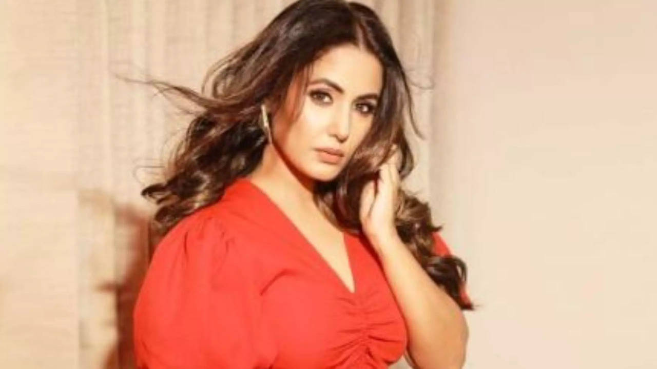 Hina Khan Gets FINAL Opportunity By Delhi HC To Present Submissions In Defamation Suit Over Theft Accusations