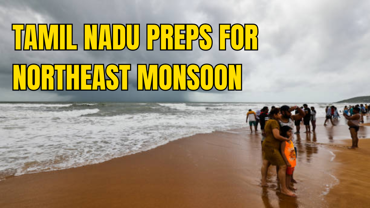 Tamil Nadu Government Launches New App to Tackle Monsoon Challenges