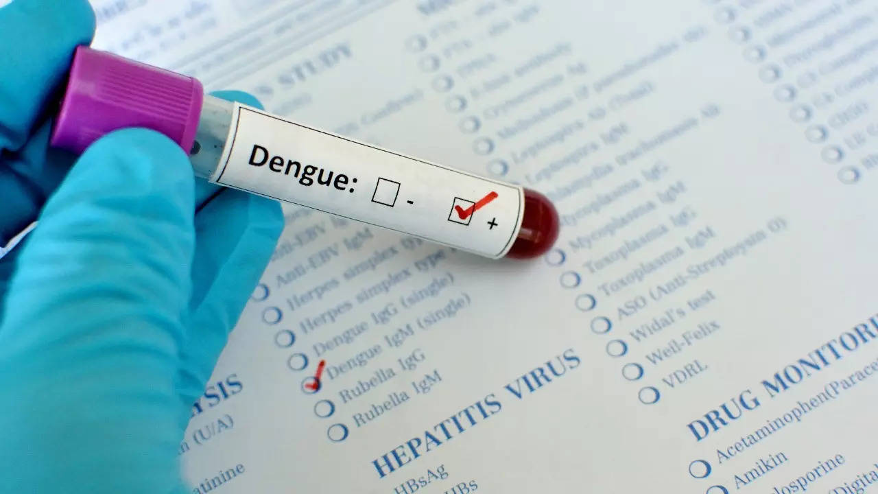 dengue threat looms over ahmedabad as city records 17 cases daily: amc report