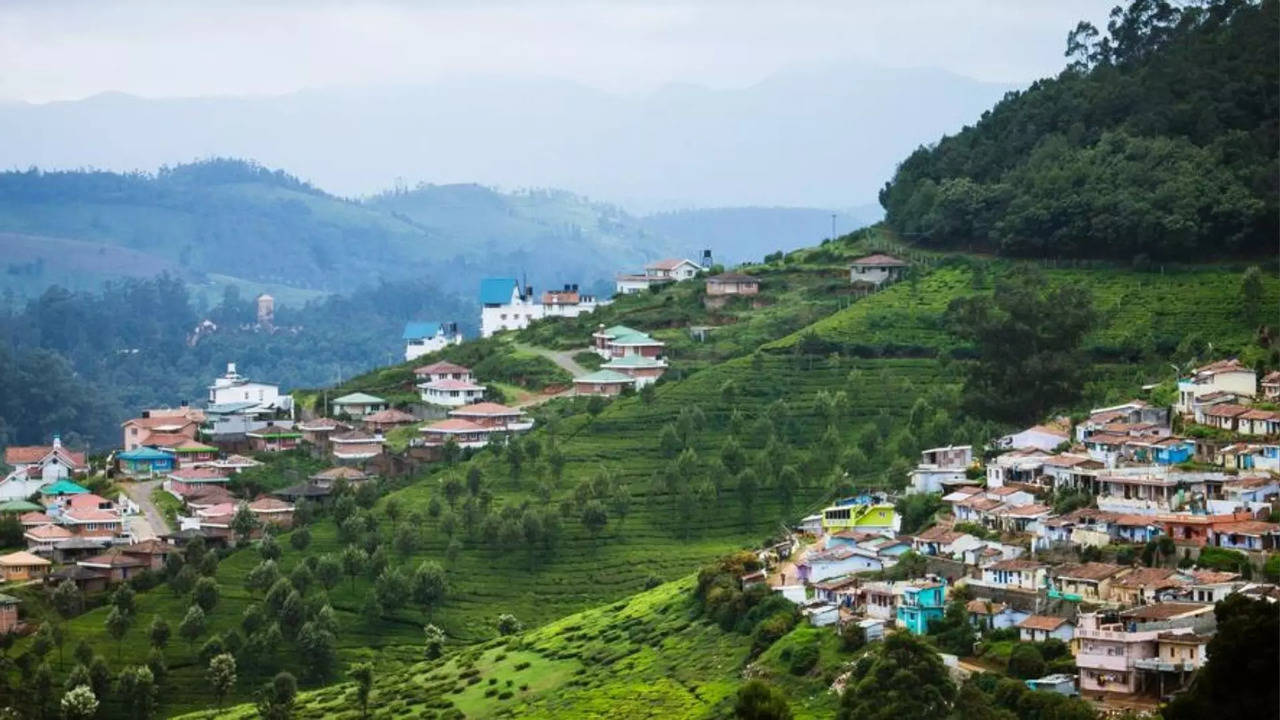 nilgiris