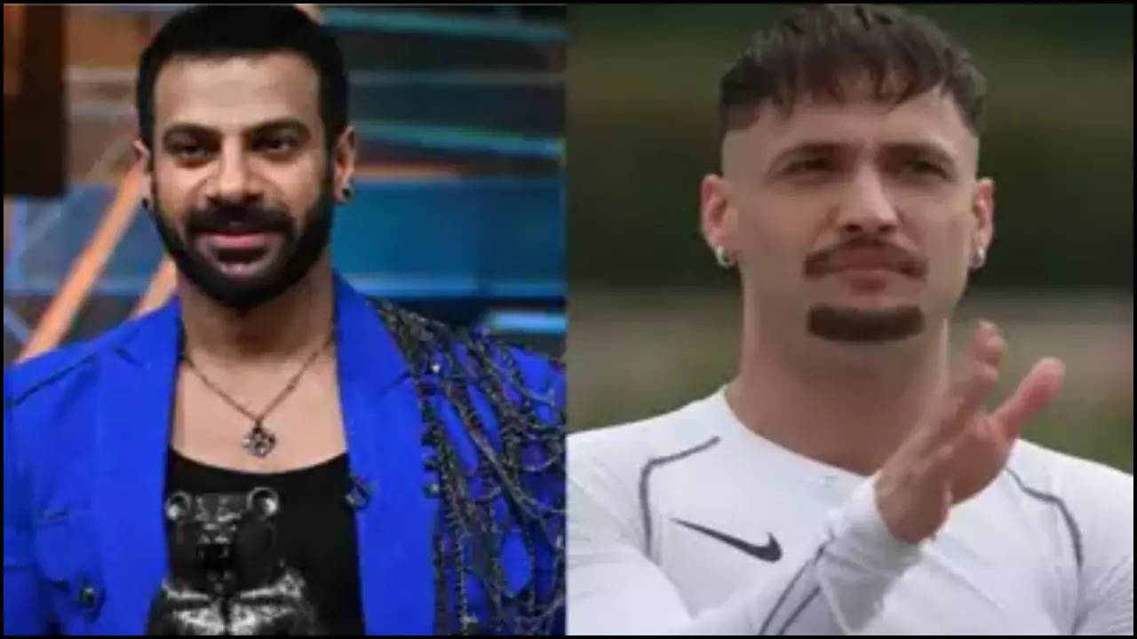 karan veer mehra hits back at asim riaz:'too much steroid hit your brains'