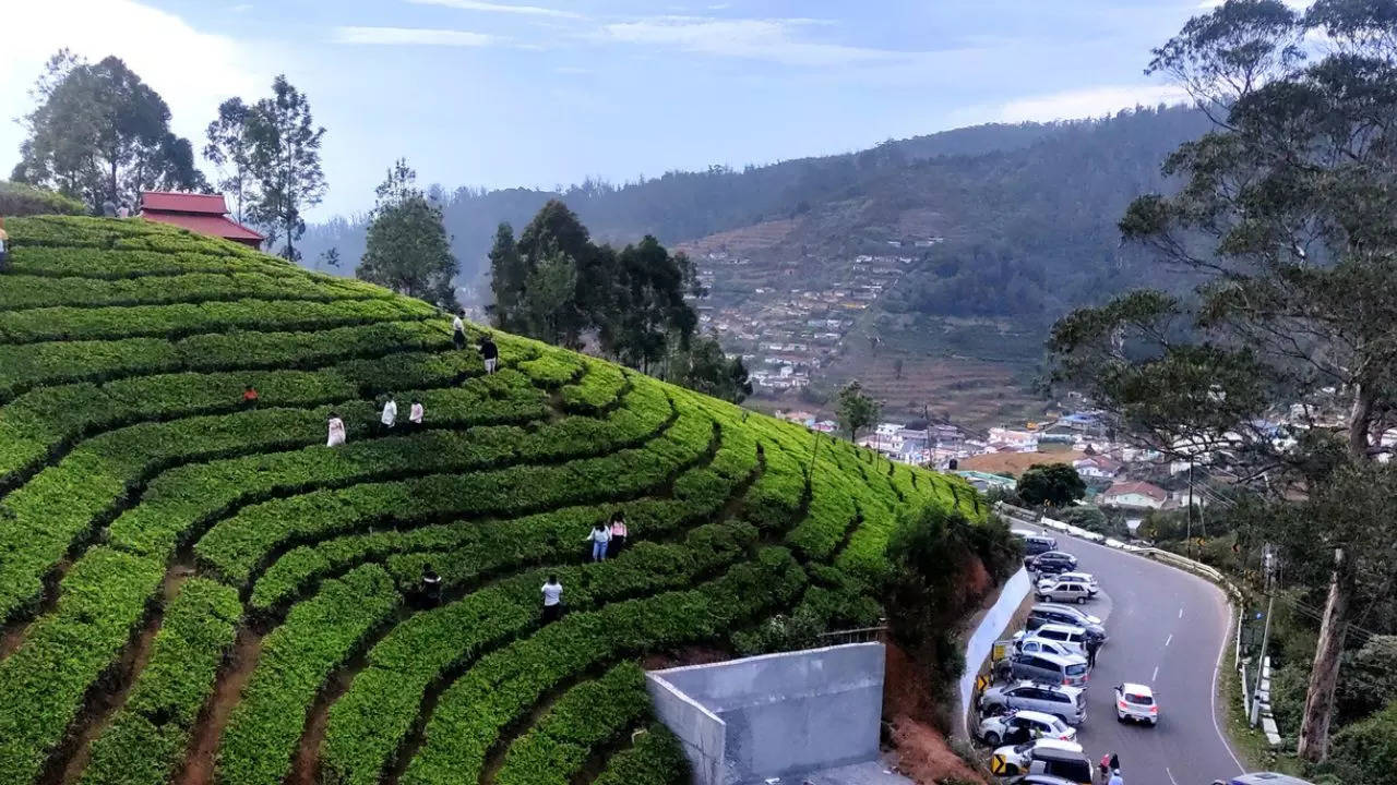 You’ll Still Need An E-Pass To Visit Ooty & Kodaikanal This October. Credit: iStock