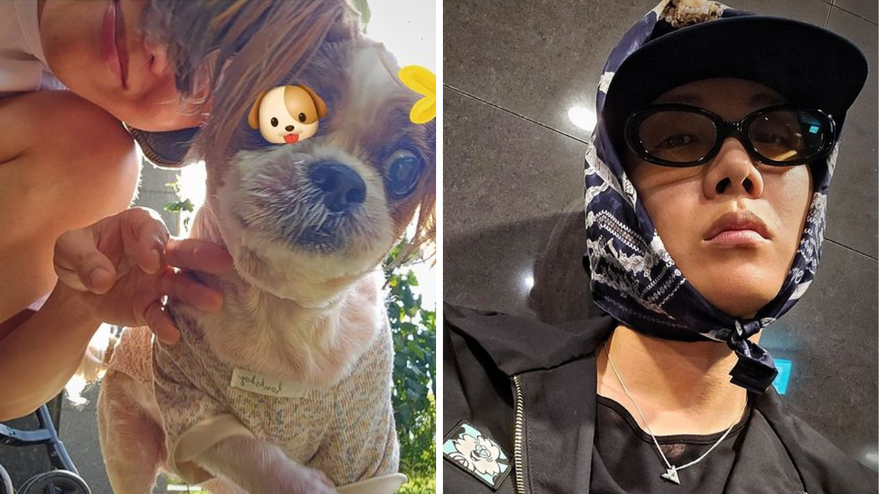 BTS' J-hope Kicks Off October With Photo Dump Ft. Pet Dog Mickey And Jiyong Kim, Counts Down Days To Military Discharge