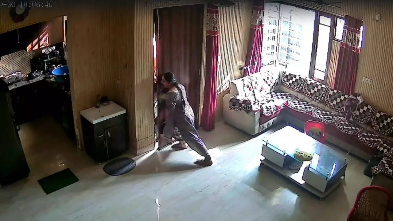 Punjab woman fends off robbers