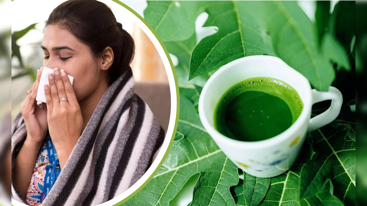 benefits of drinking papaya leaf juice in dengue